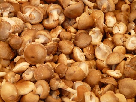 Who should take mushroom supplements